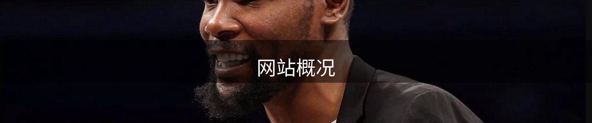 网站概况